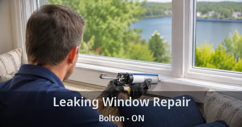 Leaking Window Repair Bolton - ON